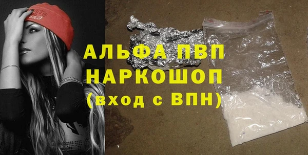 PSILOCYBIN Инта