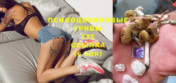 винт Зеленокумск