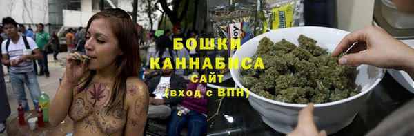 PSILOCYBIN Инта